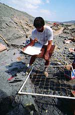 photo of paleontologist working with grid