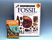 books on fossils